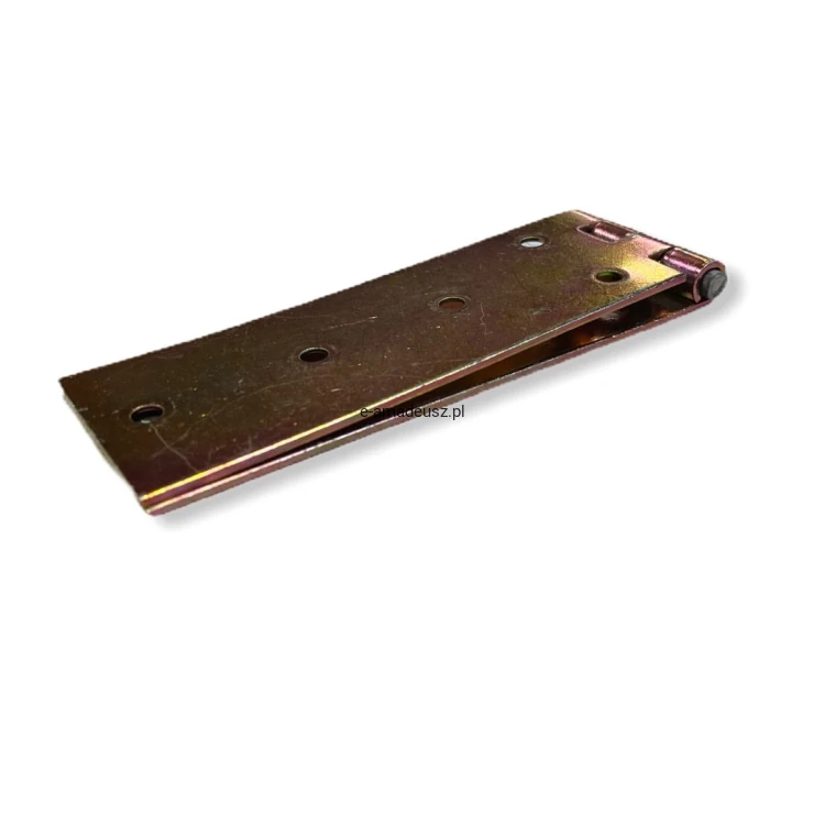 zawias 35x100 1Amadeusz.jpg