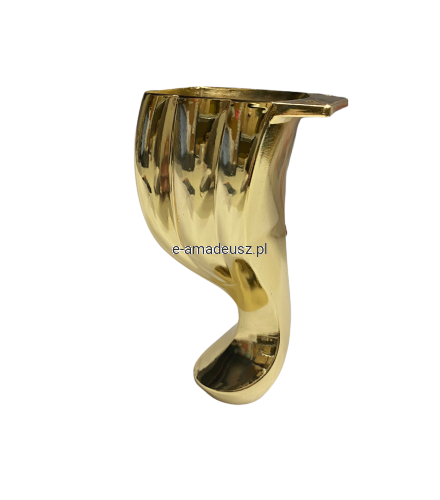 noga-ludwik-gold-amadeusz.PNG