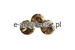 DSC_1015-removebg-preview.png