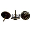 gwozdzie-ozdobne-wg-1017-e-amadeusz.jpg