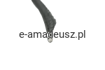 DSC_0338-removebg-preview.png