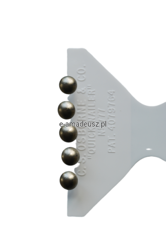 DSC_0557-removebg-preview.png