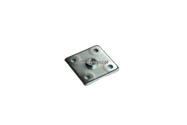 DSC_0579-removebg-preview.png