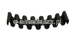 DSC_1310-removebg-preview.png