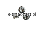 DSC_1040-removebg-preview.png